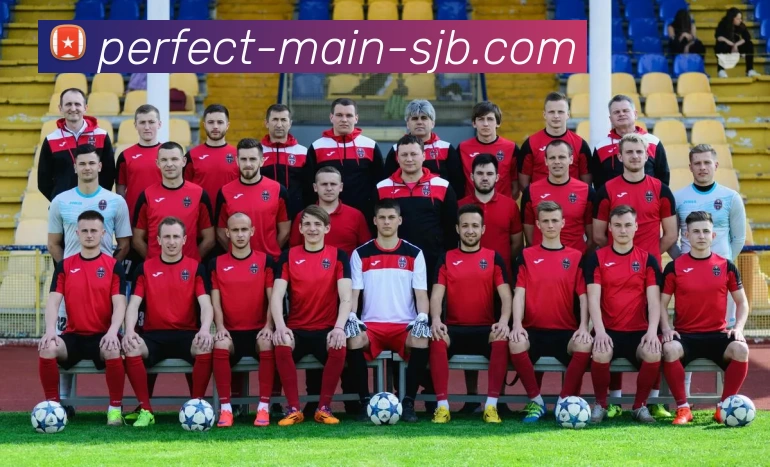 App Interface Preview